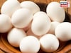 ডিমের পুষ্টিগুণ সম্পর্কে সচেতনতা বৃদ্ধি, world egg day-তে প্রায় ৫০হাজার ডিম বিতরণ সরকারের