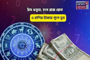হাতে সোনার ডিম পাড়া হাঁস, চকচকে ভাগ্য! চাঁদ ধনুতে, হংস রাজ যোগে ৫ রাশির টাকার পুলে ডুব