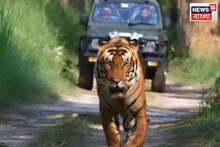 পিলিভিট টাইগার রিজার্ভ ঘুরতে যাচ্ছেন?এই জায়গাগুলো অবশ্যই ঘুরুন,না হলে অসম্পূর্ণ হবে যাত্রা