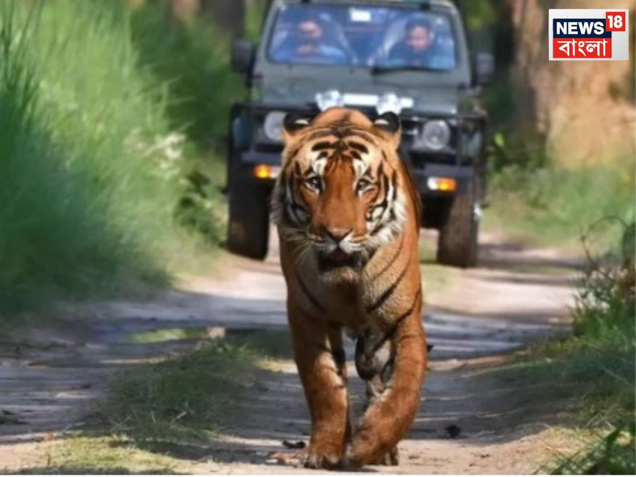 Tourism: পিলিভিট টাইগার রিজার্ভ ভ্রমণের পরিকল্পনা? এই জায়গাগুলো অবশ্যই ঘুরে দেখুন, না হলে যাত্রা অসম্পূর্ণ থেকে যাবে Tourism: পিলিভিট টাইগার রিজার্ভ ভ্রমণের পরিকল্পনা? এই জায়গাগুলো অবশ্যই ঘুরে দেখুন, না হলে যাত্রা অসম্পূর্ণ থেকে যাবে