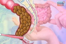 Panta Bhat for Gut Health: এত বড়লোক হয়েও বলিউড স্টার খান পান্তা ভাত! যুগ যুগ ধরে পেট সাফ রাখার আসল সিক্রেট, চিরদিনের মতো গায়েব হবে কোষ্ঠকাঠিন্য