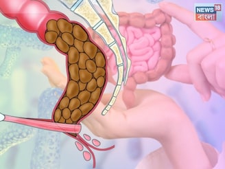 এত বড়লোক হয়েও বলি স্টার খান পান্তা ভাত!পেট সাফ রাখার আসল সিক্রেট,গায়েব হবে কোষ্ঠকাঠিন্য