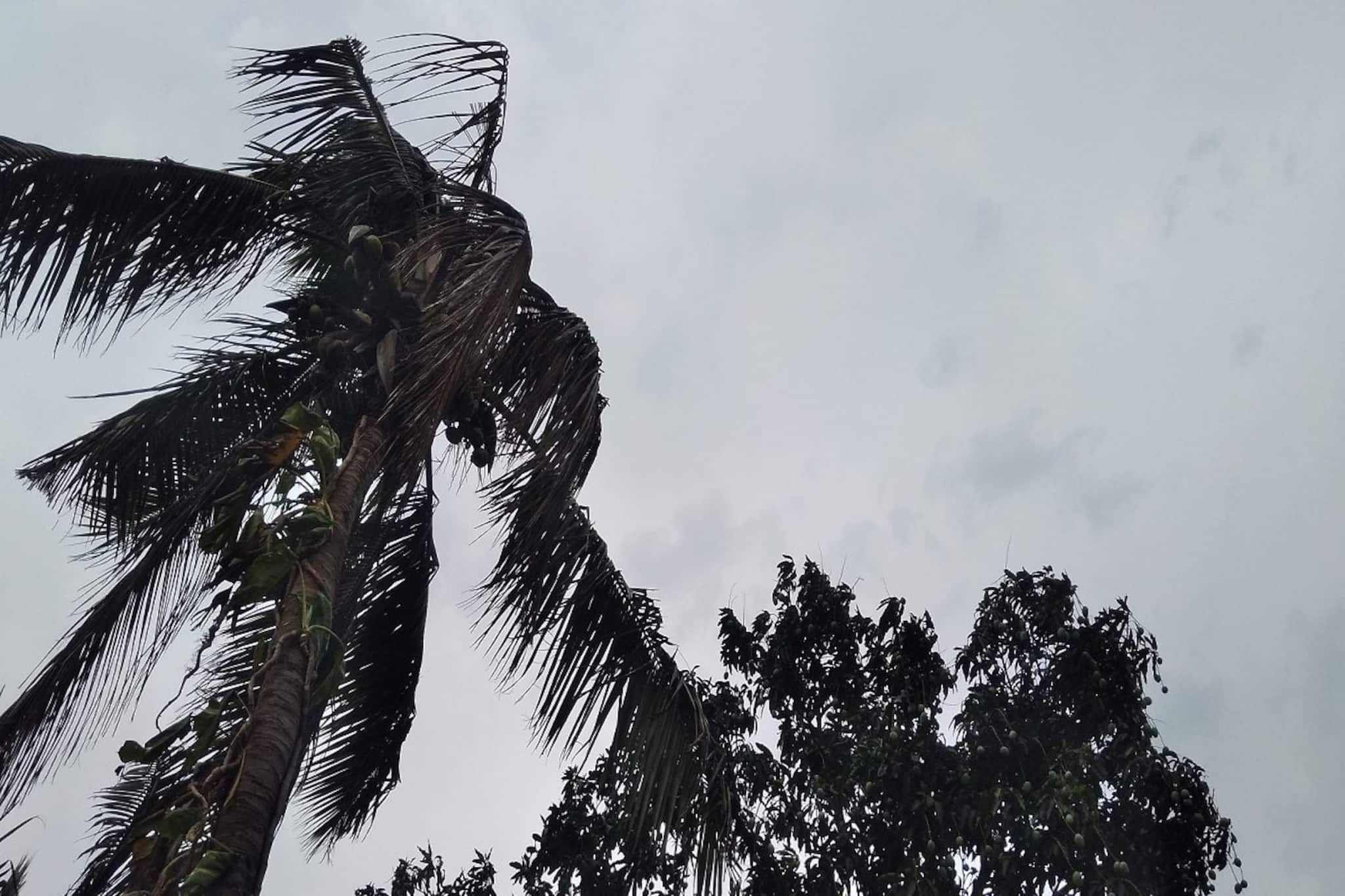 IMD Weather Update: উত্তুরে হাওয়ার শিরশিরানির মাঝেই বৃষ্টির পূর্বাভাস, উইকেন্ডে বৃষ্টি হবে কোন কোন জেলায়? আবহাওয়ার বড় খবর