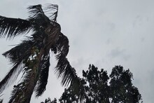 বাংলায় বৃষ্টি আর কতদিন? এখনও চলবে নাকি বর্ষাবিদায়? আবহাওয়ার বড় খবর