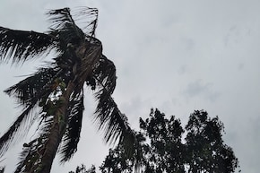 বাংলায় বৃষ্টি আর কতদিন? এখনও চলবে নাকি বর্ষাবিদায়? আবহাওয়ার বড় খবর