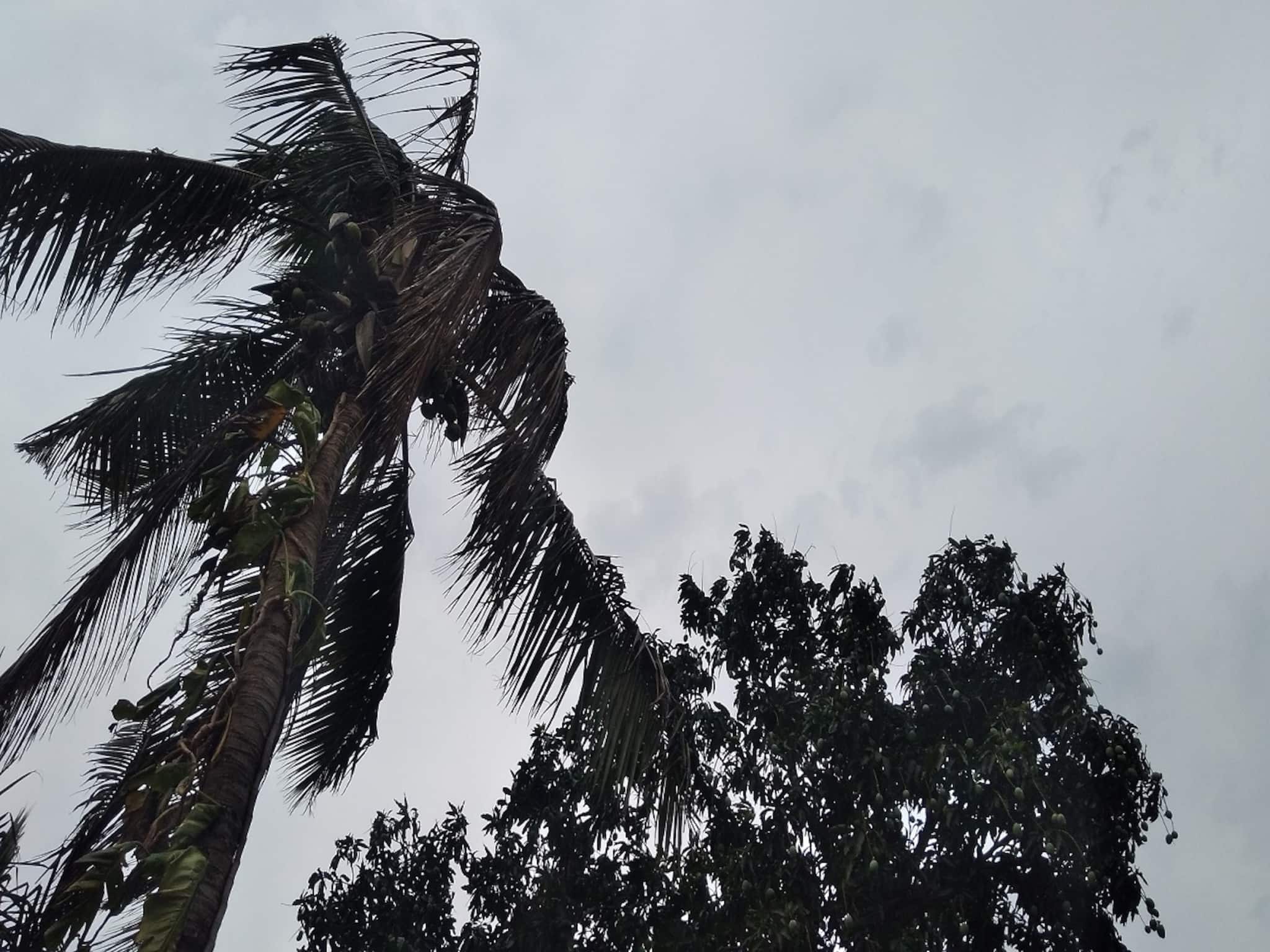 IMD Weather Update: এ বছরের মতো বর্ষার বিদায়? নাকি ফের বৃষ্টি হবে? বাংলার আবহাওয়ার বড় খবর