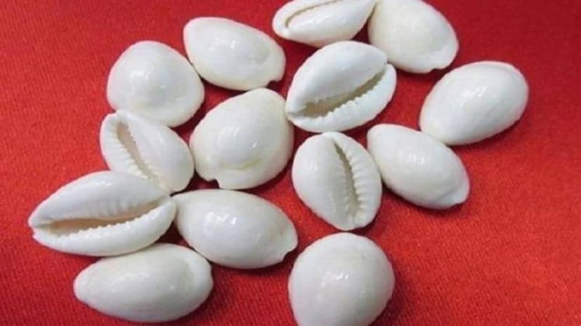 লক্ষ্মী পুজোর দিন দেবীর পায়ের সামনে পাঁচটি কড়ি রেখে পুজো করান। পুজো শেষ হলে সেই কড়িগুলি ক্যাশবাক্সে বা অর্থ রাখা থাকে এমন জায়গায় রেখে দিন। এতে আর্থিক সমৃদ্ধি বৃদ্ধি পাবে।