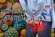 Piles Ayurvedic Remedies: রক্তাক্ত পাইলসের কাঁটায় জর্জরিত? সকালে সস্তার ১ ফল বা রাতে ‘এই’ গুঁড়ো খান শুধু ১ চামচ! উধাও অর্শের জ্বালা!