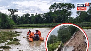 নিশ্চিন্তে ঘুমিয়েছিল ২ শিশু, রাত ২ টোয় প্রবল বৃষ্টি, উপড়ে ভেঙে পড়ল গাছ! সকালে মর্মান্তিক দৃশ‍্য...শিশুমৃত‍্যুতে কান্নার রোল মিরিকে
