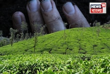 বাগডোগরার গঙ্গারাম চাবাগানে কঙ্কালসার দেহ উদ্ধার ঘিরে চাঞ্চল্য! তদন্তে পুলিশ