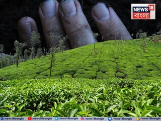 News18