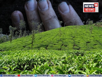 News18