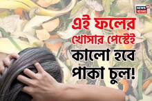 খেলা শেষ দামি কলপ, কালারের! এই ফলের খোসার পেস্ট মাখলেই উধাও সাদা চুল! কালো হবে পাকা চুল!