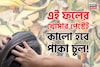 খেলা শেষ দামি কলপ, কালারের! এই ফলের খোসার পেস্ট মাখলেই উধাও সাদা চুল! কালো হবে পাকা চুল!