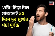 মুখের পচা দুর্গন্ধে অস্বস্তিতে পড়েন? দাঁত মাজুন ‘এটা’ দিয়ে! ১৫ দিনে গায়েব গন্ধ!