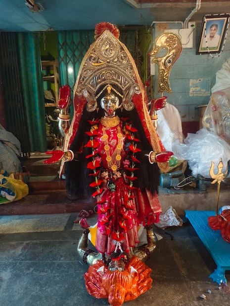 ১০০ থেকে ৩০০ কেজি ওজনের নানা ধরনের পেতলের প্রতিমা। লাখ লাখ টাকা খরচ করে এইসব প্রতিমা তৈরি করতে চাইছেন পুজো উদ্যোক্তারা।