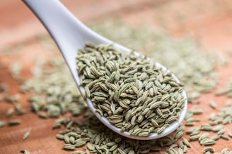 কোন সময়, কীভাবে মৌরি-মিছরি খেলে সেরে যাবে এক ডজন রোগ, জেনে নিন বিশেষজ্ঞের কাছে