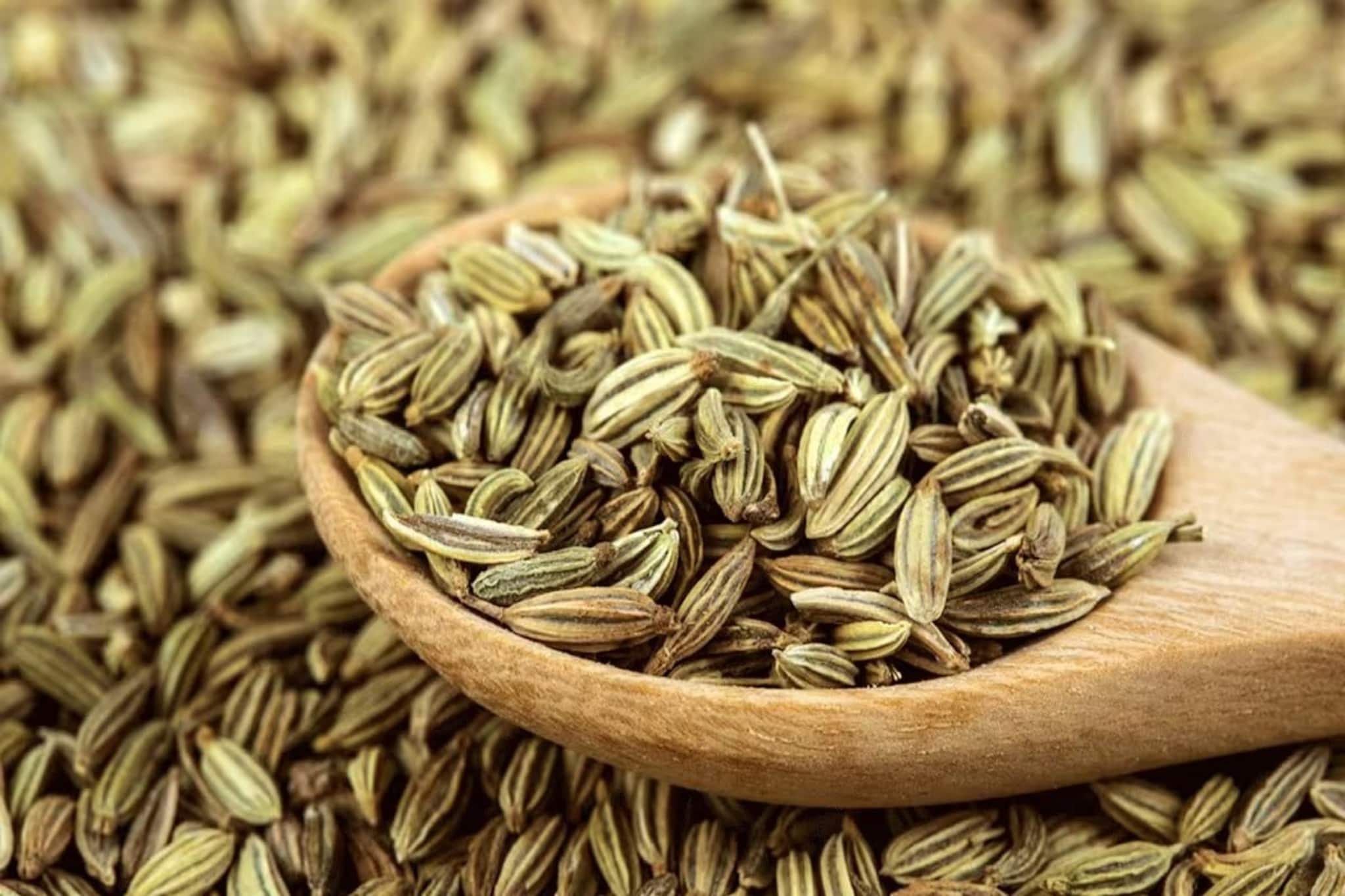 রেস্তোরাঁয় খাবার পরেই মৌরি-মিছরি দেয়! এই ভেষজ মশলার উপকারিতা জানলে অবাক হবেন