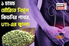 গুঁড়ো গুঁড়ো হয়ে গলে কিডনির পাথর! কমে UTI-এর জ্বালা! ১ চামচ মৌরি এভাবে খেলেই সুস্থ কিডনি