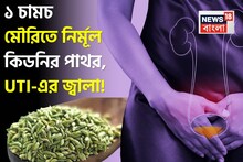 Mouri to cure Kidney Stone & UTI : শুষে নেয় নোংরা বিষাক্ত জিনিস! গুঁড়ো গুঁড়ো হয়ে গলে কিডনির পাথর! কমে UTI-এর জ্বালা! ১ চামচ মৌরি ‘এভাবে’ খেলেই সুস্থ কিডনি