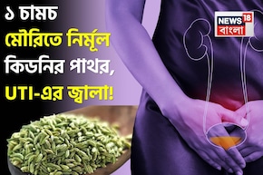গুঁড়ো গুঁড়ো হয়ে গলে কিডনির পাথর! কমে UTI-এর জ্বালা! ১ চামচ মৌরি এভাবে খেলেই সুস্থ কিডনি