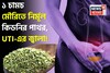 গুঁড়ো গুঁড়ো হয়ে গলে কিডনির পাথর! কমে UTI-এর জ্বালা! ১ চামচ মৌরি এভাবে খেলেই সুস্থ কিডনি