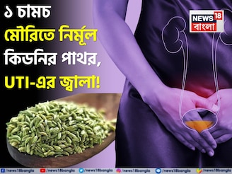 গুঁড়ো গুঁড়ো হয়ে গলে কিডনির পাথর! কমে UTI-এর জ্বালা! ১ চামচ মৌরি এভাবে খেলেই সুস্থ কিডনি