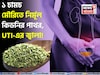 গুঁড়ো গুঁড়ো হয়ে গলে কিডনির পাথর! কমে UTI-এর জ্বালা! ১ চামচ মৌরি এভাবে খেলেই সুস্থ কিডনি