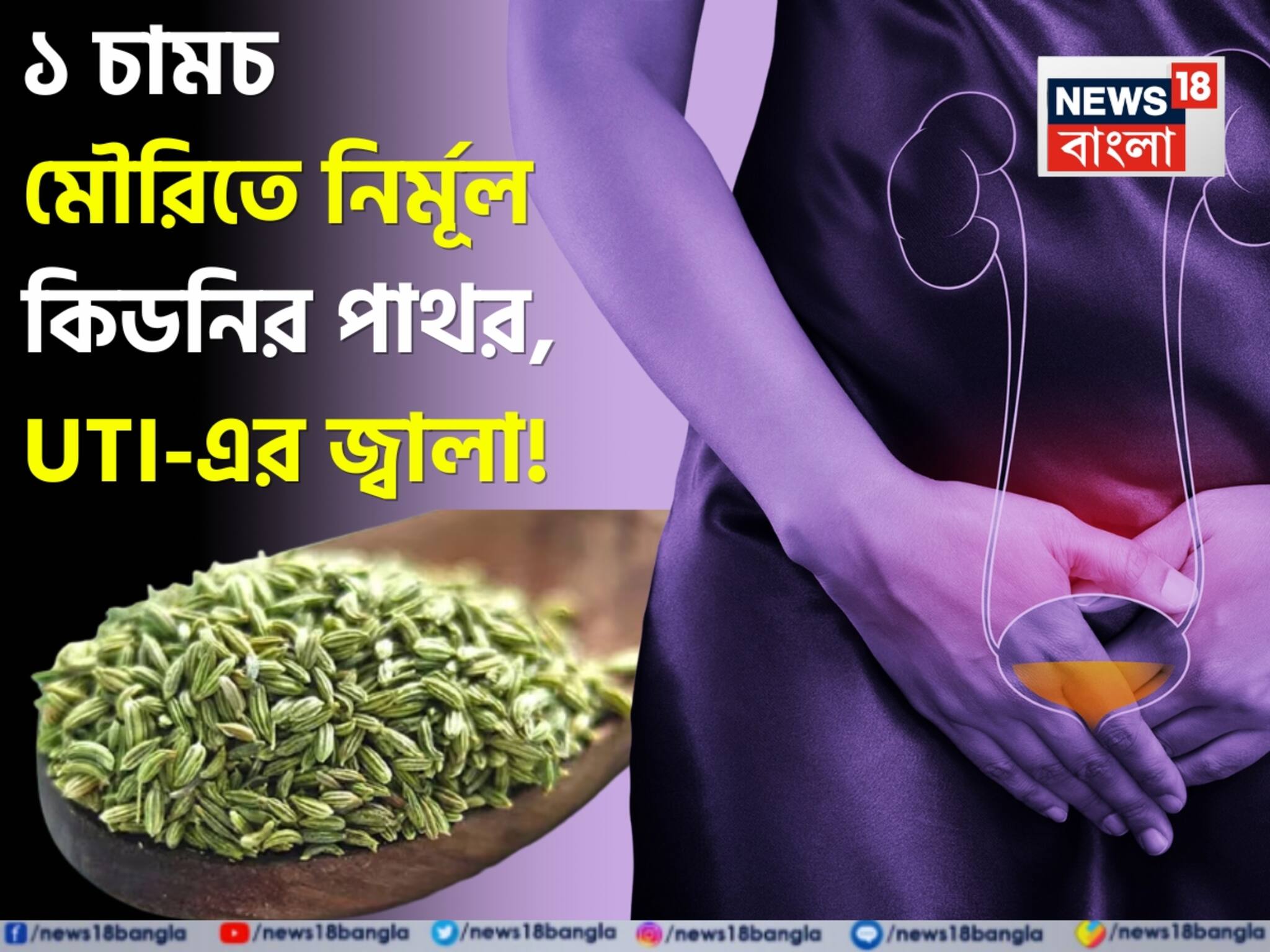 Mouri to cure Kidney Stone & UTI : শুষে নেয় নোংরা বিষাক্ত জিনিস! গুঁড়ো গুঁড়ো হয়ে গলে কিডনির পাথর! কমে UTI-এর জ্বালা! ১ চামচ মৌরি ‘এভাবে’ খেলেই সুস্থ কিডনি