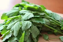 Health Tips: প্রস্রাবে জ্বালাপোড়া, কিডনির সমস্যায় ভুগছেন! বাজারে পেলেই কিনুন সস্তার বথুয়া শাক, পুষ্টির খনি...! মহিলাদের জন্য অমৃত