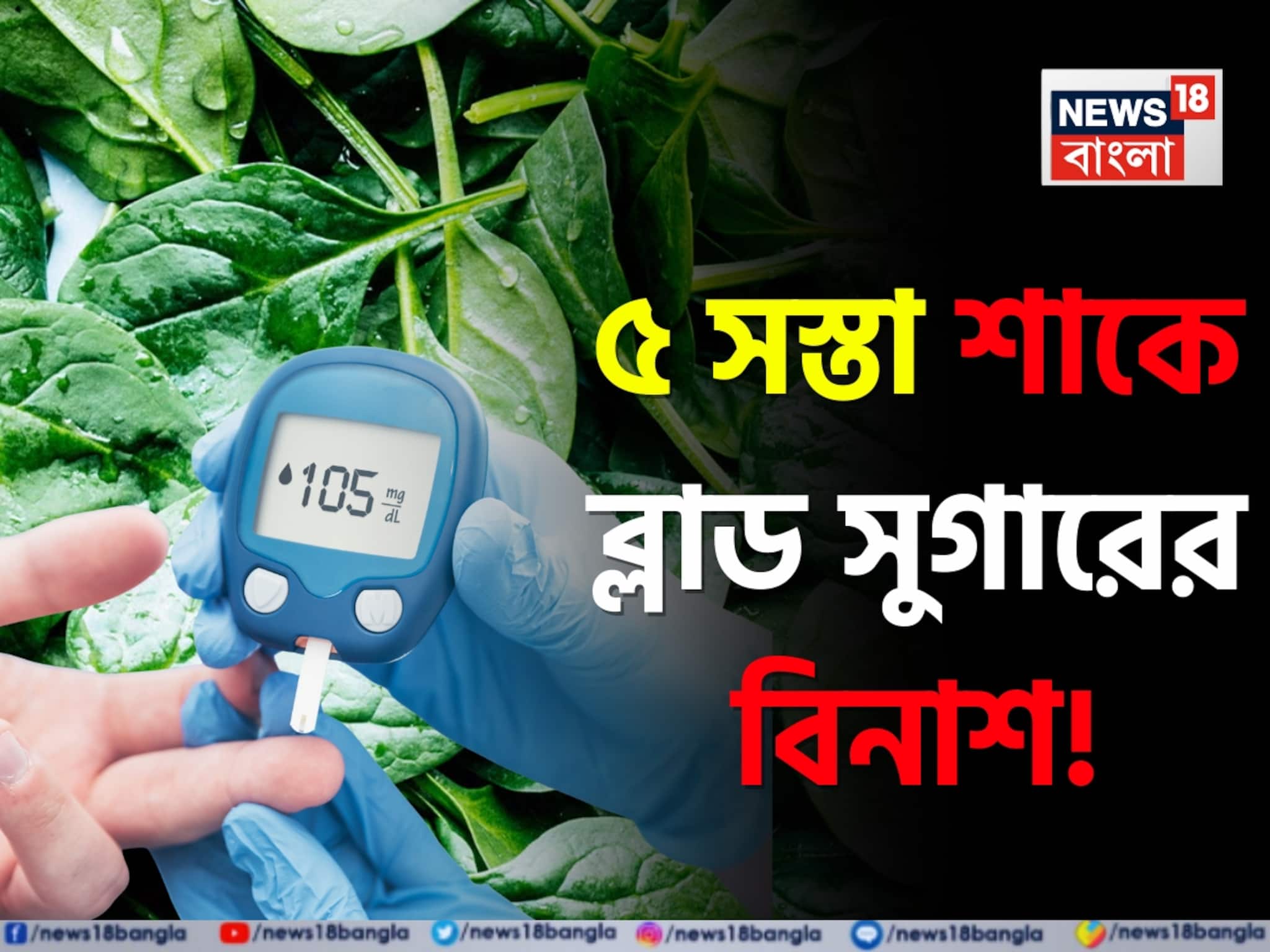Shak to control Blood Sugar: অযত্নে জন্মানো ৫ সস্তা শাকের কামাল! ১ চিমটি খেলে ব্লাড সুগার নির্বংশ! ক্যানসারের ঝুঁকি গায়েব!