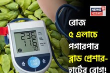 Elaichi in Blood Pressure & Heart Disease: রোজ গুনে গুনে ৫ টা এলাচ! দিনের এই সময়ে এভাবে খেলেই হু হু করে কমবে হাই ব্লাড প্রেশার! পগারপার হার্টের রোগ!