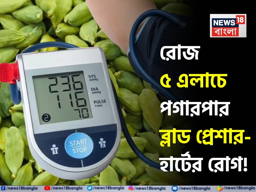 রান্নার স্বাদ বাড়ানোর জন্য এলাচ অদ্বিতীয়৷ কিন্তু জানেন কি এলাচের উপকারিতাও অঢেল৷ এলাচের জল খাওয়ার সঠিক তথ্য জানাচ্ছি। এটি আপনার পাঁচটি রোগ নিয়ন্ত্রণে সাহায্য করতে পারে। 