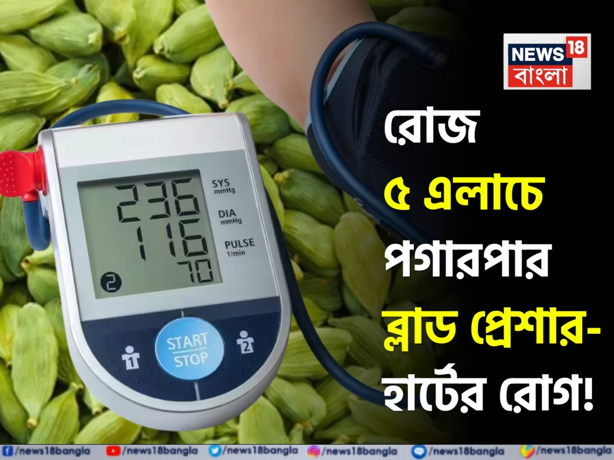Elaichi in Blood Pressure & Heart Disease: রোজ গুনে গুনে ৫ টা এলাচ! দিনের এই সময়ে এভাবে খেলেই হু হু করে কমবে হাই ব্লাড প্রেশার! পগারপার হার্টের রোগ!