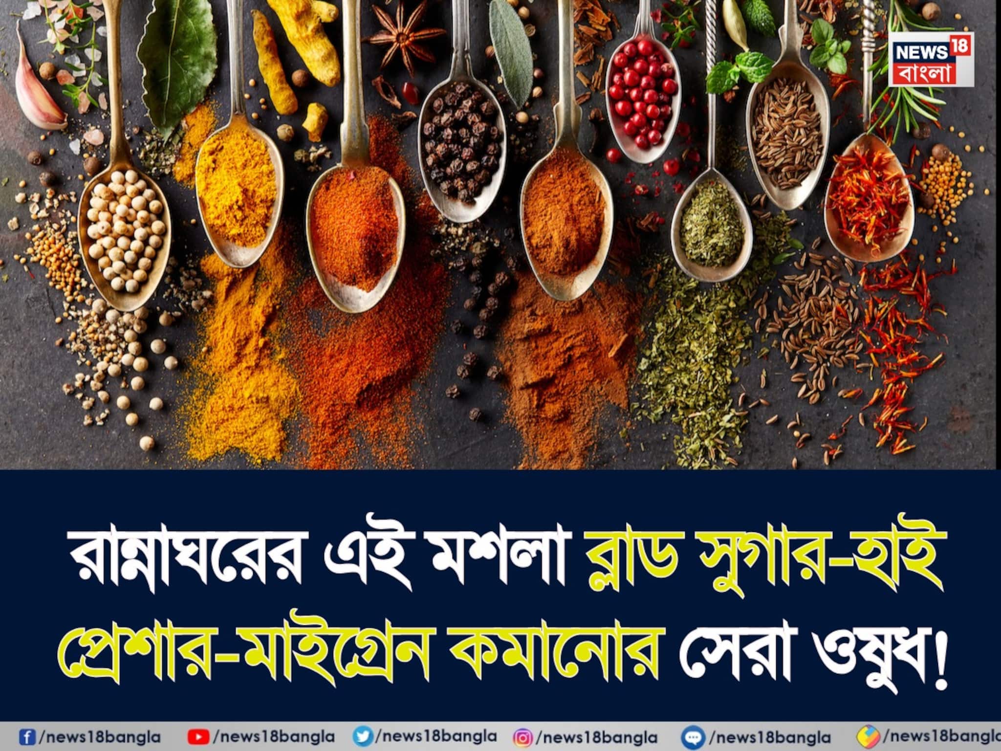 Migraine Home Remedy: কালো দানার কামাল! ব্লাড সুগার-হাই প্রেশার-মাইগ্রেন কমানোর সেরা ওষুধ আছে আপনার রান্নাঘরেই! গলবে থলথলে চর্বির স্তরও!