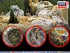 দীপাবলির আগেই শুরু ধরপাকড়! অভিযানে যা ধরা পড়ল, দেখে চক্ষু চড়কগাছ পুলিশেরও