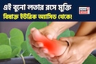 অমৃতের ভান্ডার! আশীর্বাদ হয়ে শরীর থেকে বিষাক্ত ইউরিক অ্যাসিডকে নিংড়ে বার করে এই বুনো লতা