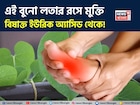অমৃতের ভান্ডার! আশীর্বাদ হয়ে শরীর থেকে বিষাক্ত ইউরিক অ্যাসিডকে নিংড়ে বার করে এই বুনো লতা