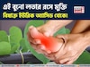 অমৃতের ভান্ডার! আশীর্বাদ হয়ে শরীর থেকে বিষাক্ত ইউরিক অ্যাসিডকে নিংড়ে বার করে এই বুনো লতা