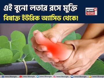 অমৃতের ভান্ডার! আশীর্বাদ হয়ে শরীর থেকে বিষাক্ত ইউরিক অ্যাসিডকে নিংড়ে বার করে এই বুনো লতা অমৃতের ভান্ডার! আশীর্বাদ হয়ে শরীর থেকে বিষাক্ত ইউরিক অ্যাসিডকে নিংড়ে বার করে এই বুনো লতা