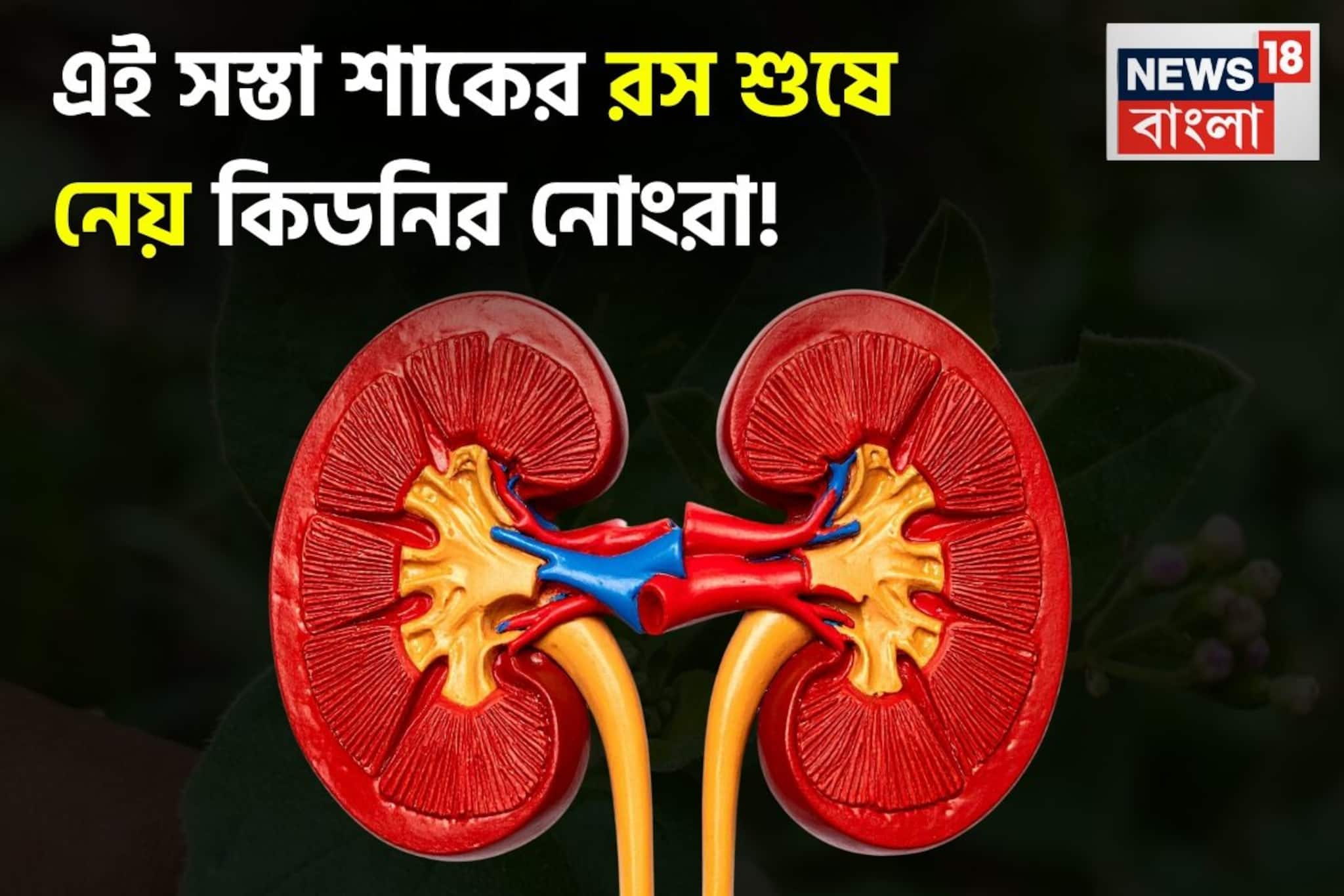 সস্তা এই শাকের রসই শুষে নেয় কিডনির নোংরা! সারে অ্যানিমিয়া! সারিয়ে দেয় পেটের রোগ!