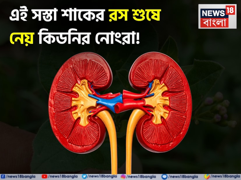 আমাদের চারপাশে প্রচুর পরিমাণে গাছপালা এবং ভেষজ রয়েছে, যা মানবজাতির জন্য এক আশীর্বাদের চেয়ে কম নয়। এর মধ্যে, এমন একটি উদ্ভিদ রয়েছে যা অলৌকিক কিছু নয়। এটি কিডনি রোগীদের জন্য একটি ঔষধ এবং এটি অন্যান্য অনেক রোগের জন্য অবিশ্বাস্যভাবে উপকারী। আয়ুর্বেদে, এটি পুনর্নব উদ্ভিদ নামে পরিচিত। 