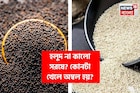 হলুদ না কালো সরষে? কোনটা খাওয়া ভাল, কোনটা খারাপ? কোনটা খেলে অম্বল হয়? জানুন