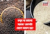 হলুদ না কালো সরষে? কোনটা খাওয়া ভাল, কোনটা খারাপ? কোনটা খেলে অম্বল হয়? জানুন
