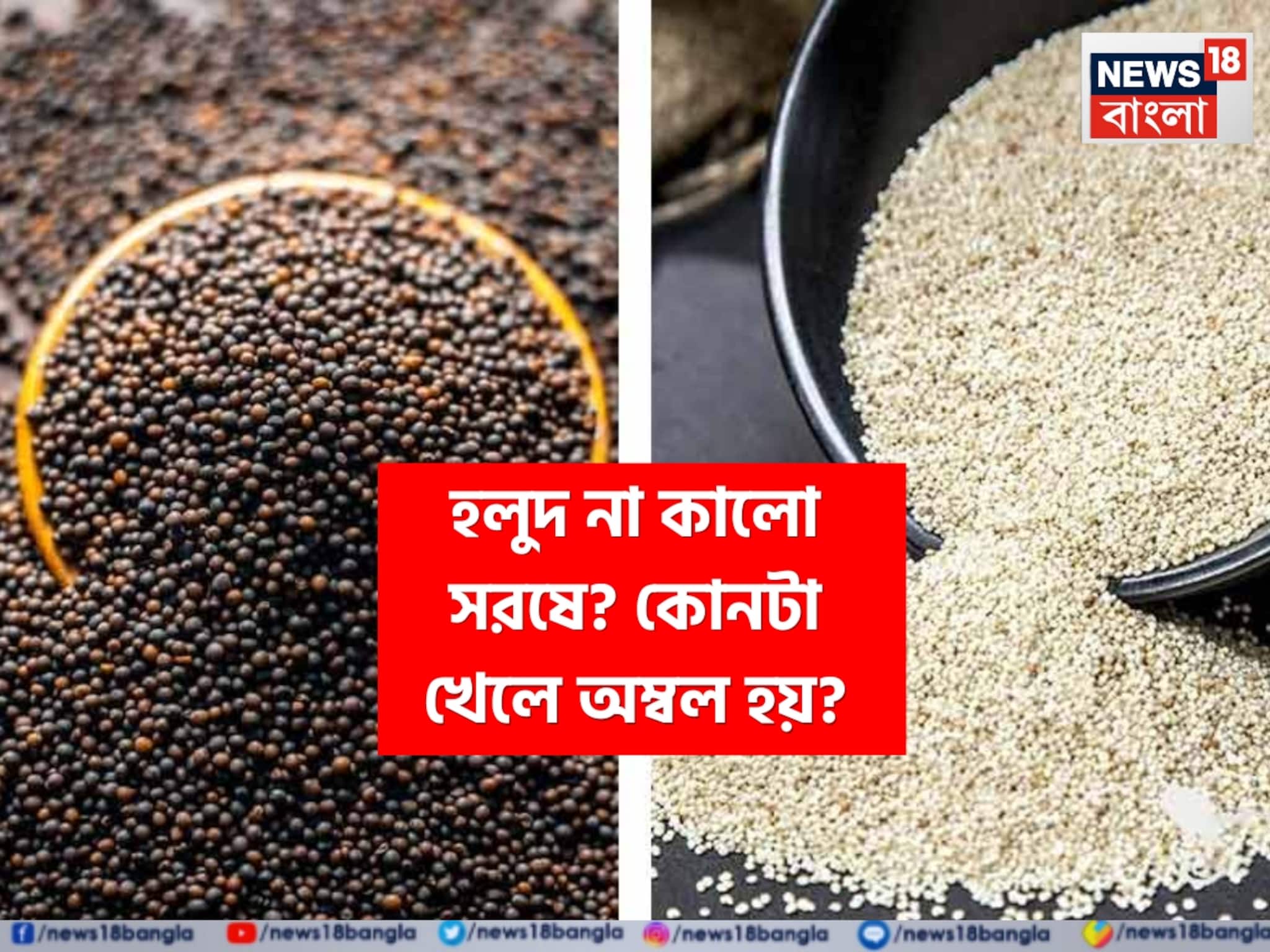 Yellow vs Black Mustard Seed: হলুদ না কালো সরষে? কোনটা খাওয়া ভাল, কোনটা খারাপ? কোনটা খেলে অম্বল হয়? জানুন