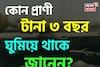 না খাওয়া-না ওঠা, বেঁচে থাকার তাগিদে টানা ৩ বছর ঘুমিয়ে থাকে এই প্রাণী! জানেন কোন প্রাণী?