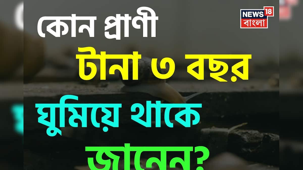 Knowledge Story: না খাওয়া-না ওঠা, বেঁচে থাকার তাগিদে টানা ৩ বছর ঘুমিয়ে থাকে এই প্রাণী! জানেন কোন প্রাণী এটি? Knowledge Story: না খাওয়া-না ওঠা, বেঁচে থাকার তাগিদে টানা ৩ বছর ঘুমিয়ে থাকে এই প্রাণী! জানেন কোন প্রাণী এটি?