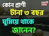 না খাওয়া-না ওঠা, বেঁচে থাকার তাগিদে টানা ৩ বছর ঘুমিয়ে থাকে এই প্রাণী! জানেন কোন প্রাণী?
