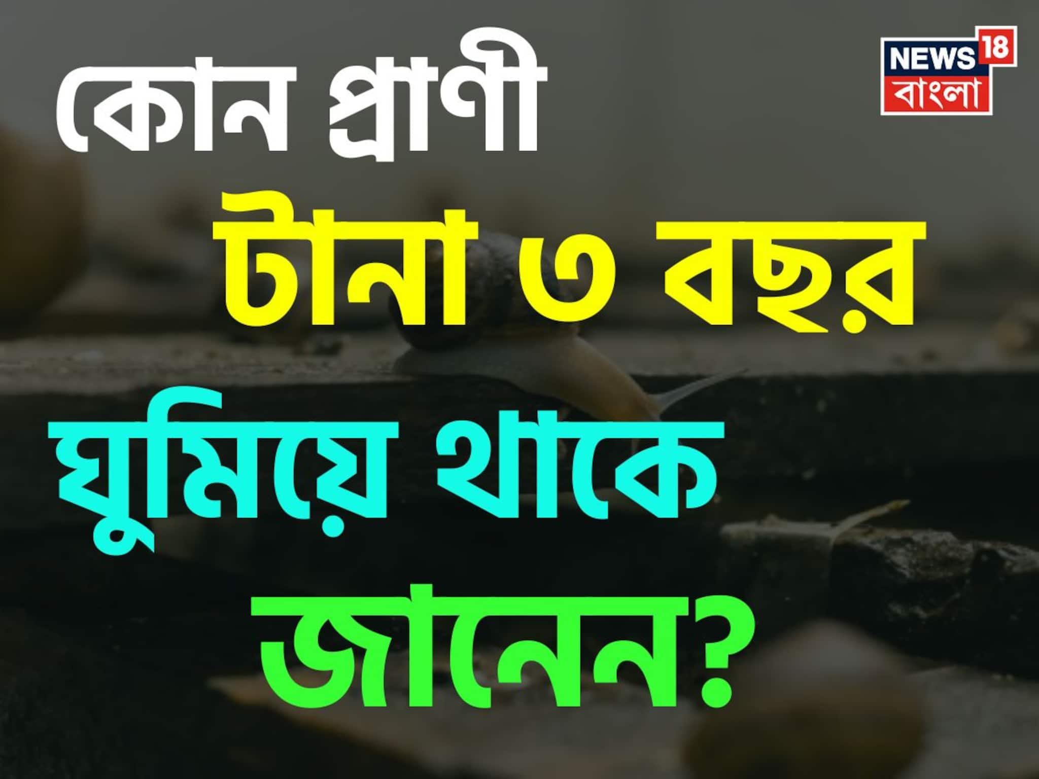 Knowledge Story: না খাওয়া-না ওঠা, বেঁচে থাকার তাগিদে টানা ৩ বছর ঘুমিয়ে থাকে এই প্রাণী! জানেন কোন প্রাণী এটি?