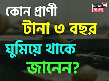 না খাওয়া-না ওঠা, বেঁচে থাকার তাগিদে টানা ৩ বছর ঘুমিয়ে থাকে এই প্রাণী! জানেন কোন প্রাণী? না খাওয়া-না ওঠা, বেঁচে থাকার তাগিদে টানা ৩ বছর ঘুমিয়ে থাকে এই প্রাণী! জানেন কোন প্রাণী?